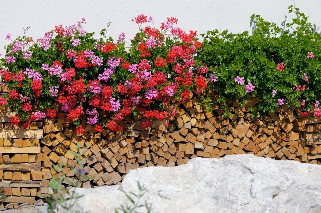 Appartamenti in Alta Badia con tutti i comfort Immagine: appartamenti Residence Mirasas